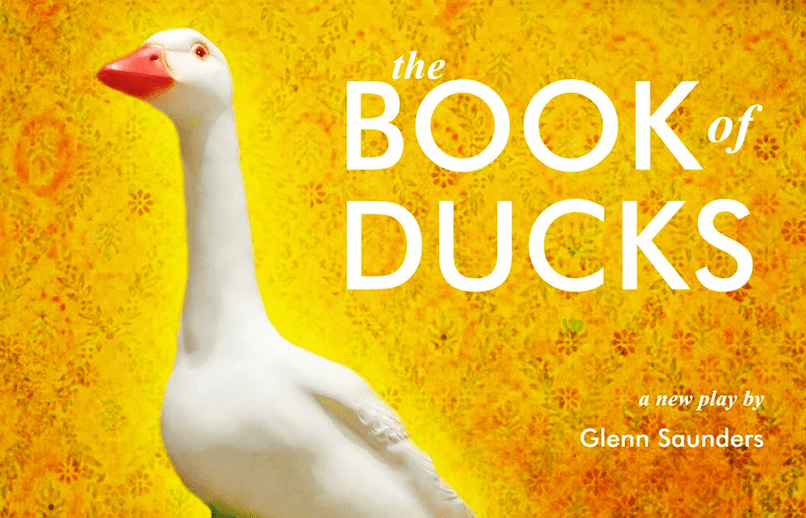 book of ducks 1
