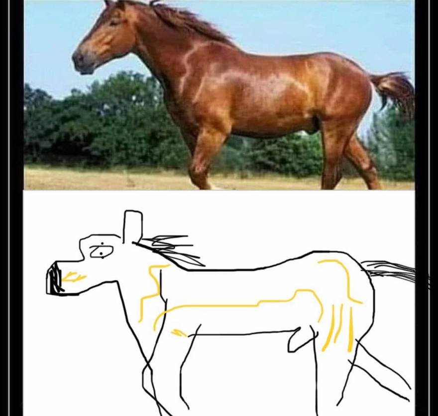 125359561_373938107053127_1277654182207741967_n